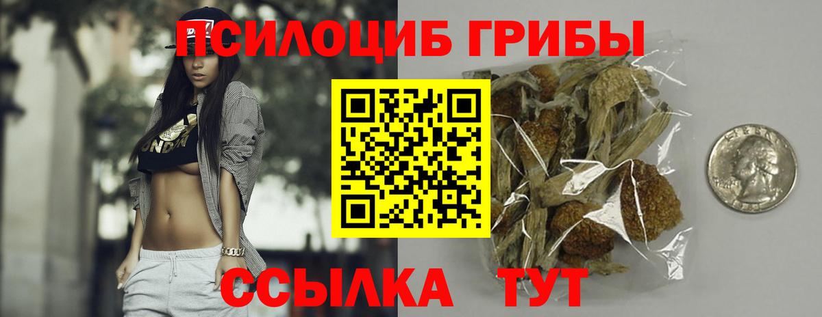 Сургут  купить наркотики сайты  Вход с VPN  Галлюциногенные грибы MAGIC MUSHROOMS 